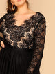 Plus Lace Bodice Mesh Hem Dress