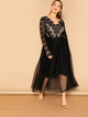 Plus Lace Bodice Mesh Hem Dress