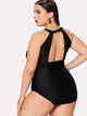 Plus Mesh Panel High Neck One Piece Swimsuit