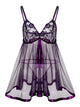 Plus Embroidery Lace & Mesh Slips With Thong