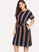 Plus Colorblock Striped Dress