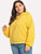 Plus Drawstring Solid Sweatshirt