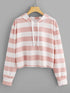 Plus Striped Hooded Sweatshirt