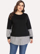 Plus Contrast Panel Sweatshirt