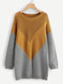 Plus Color-Block Round Neck Knit Dress