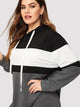 Plus Colorblock Drawstring Hoodie Dress