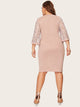 Plus Contrast Lace Solid Dress