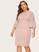 Plus Contrast Lace Solid Dress