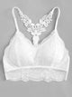 Plus Lace Panel Bra