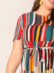  Plus Colorblock Belted Curved Hem Dress