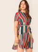  Plus Colorblock Belted Curved Hem Dress