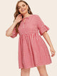 Plus Gingham Print Tie Neck Flounce Sleeve Dress