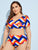 Plus Colorblock Short Sleeve Tankini Set