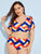 Plus Colorblock Short Sleeve Tankini Set