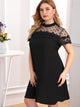  Plus Dot Mesh Yoke Guipure Lace Applique Dress